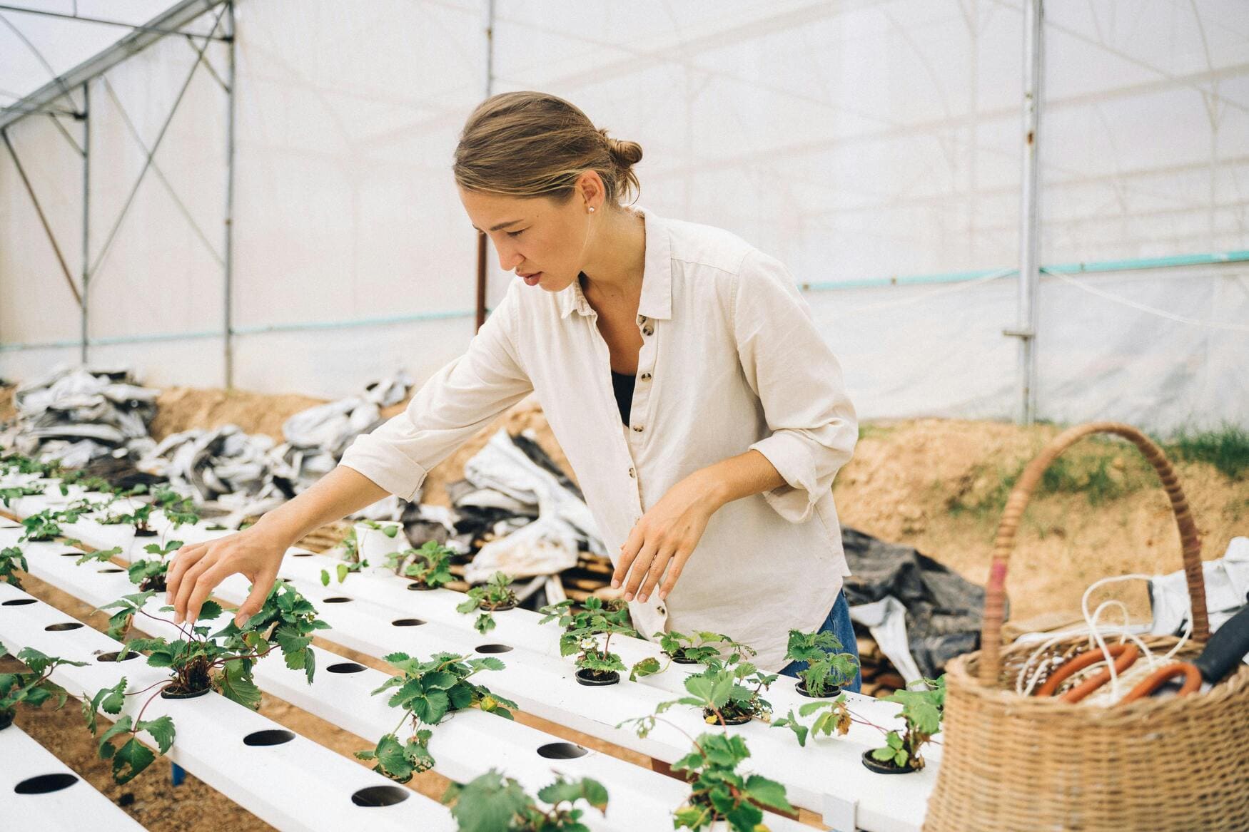 Women Farmers and the Road to 2026: Cultivating Change