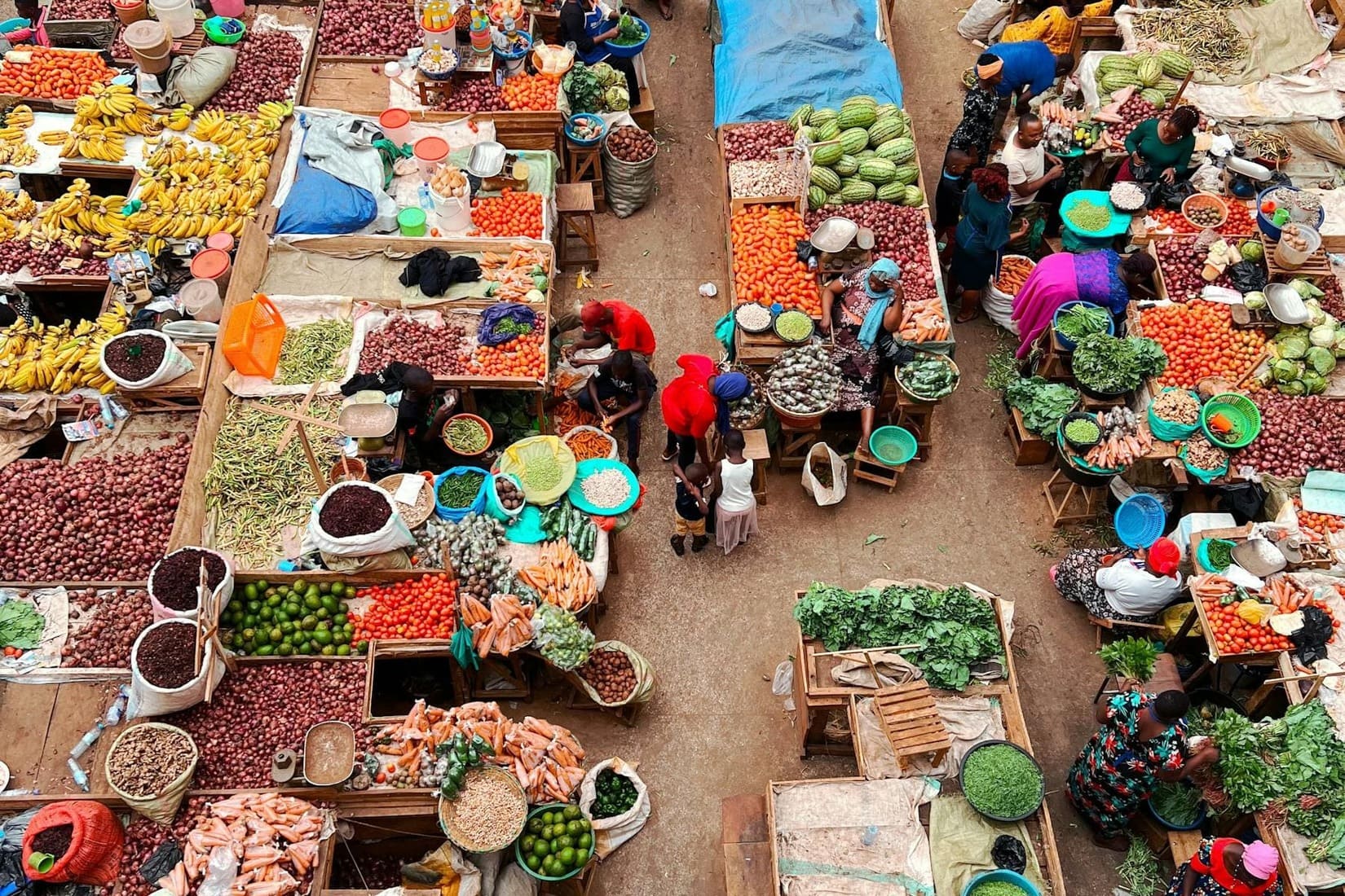 From “Yuck” to “Yum”: Changing Food Bias Culture